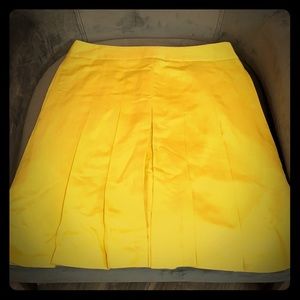 Pleated Banana Republic Skirt